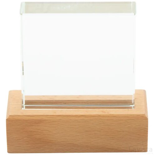 Rectofi Trofee Natuurlijk