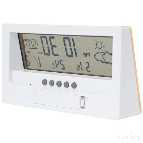 Roamer Bamboe Weerstation Natuurlijk