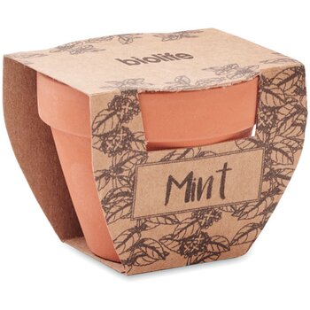 Klein terracotta potje met muntzaadjes Bruin