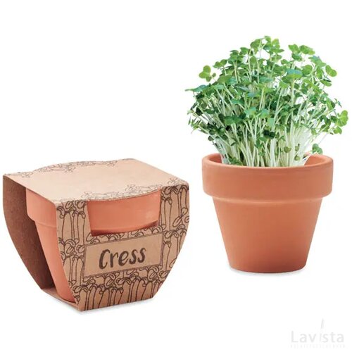 Potje tuinkers Cress pot hout