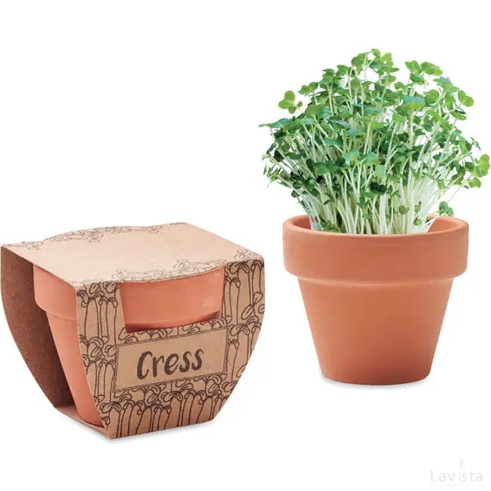 Potje tuinkers Cress pot hout