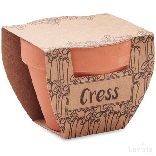 Potje tuinkers Cress pot hout