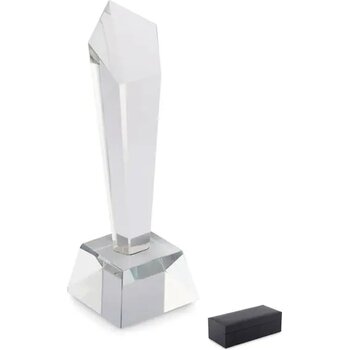 Kristallen award geschenkdoos Diaward transparant