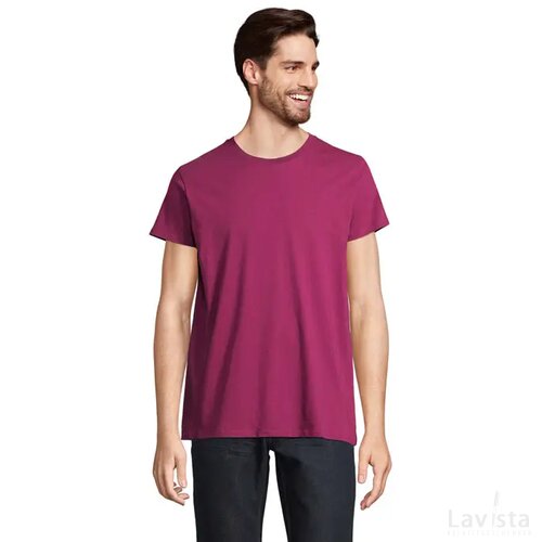 Crusader heren t-shirt 150g Crusader men astraal paars