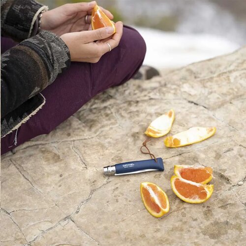 Opinel Colorama No 08 Vouwbaar Zakmes Blauw