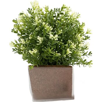 Green Seed Bags Bloemzaadjes Vergeet-Mij-Niet