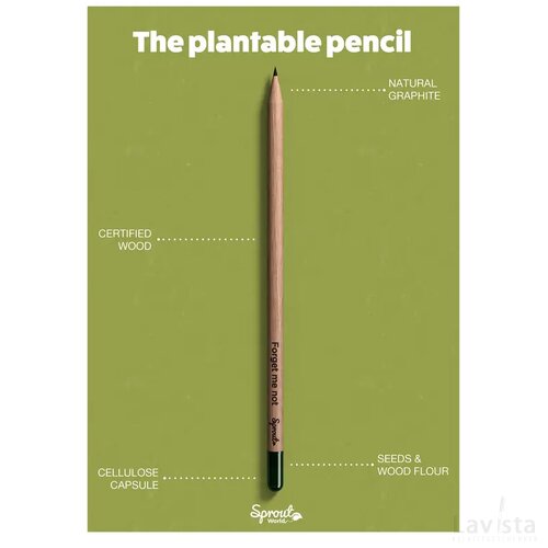Sproutworld Sharpened Pencil Potlood Peterselie