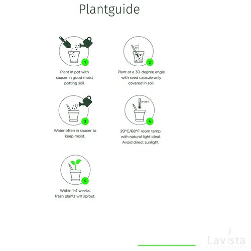 Ongeslepen Sprout potlood Wit