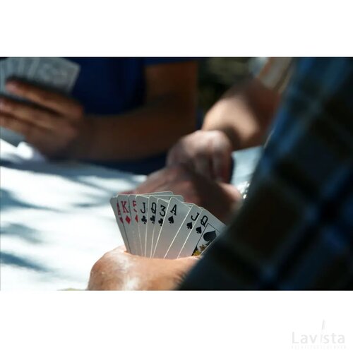 Playing Cards Speelkaarten Multicolour