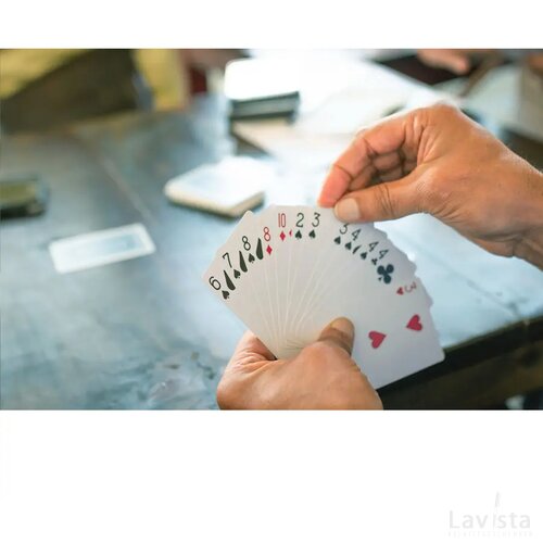 Dutch Playing Cards Speelkaarten Multicolour