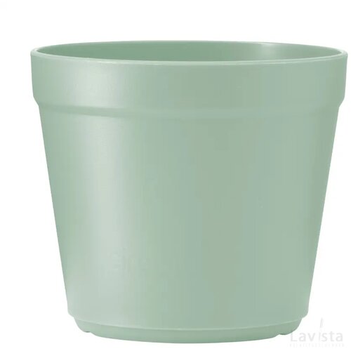 Circulcup 200 Ml Forest Light