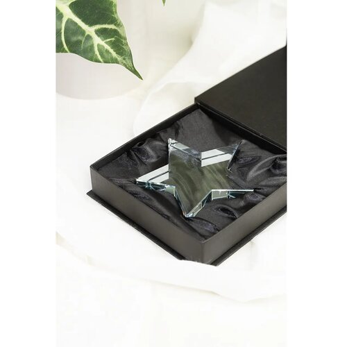 Crystar Trofee Ster Transparant