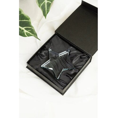 Crystar Trofee Ster Transparant
