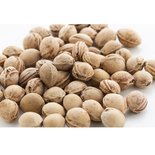 Pitheat Cherry Seed Kussen Wit