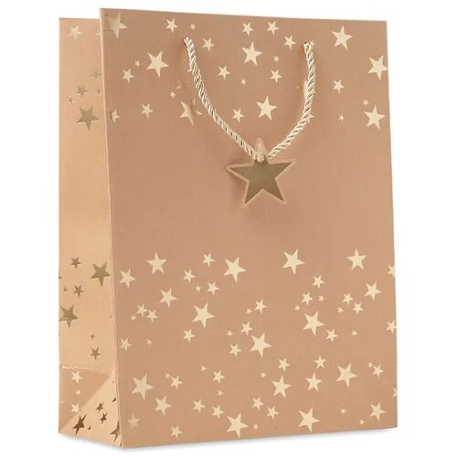 Kraftpapieren geschenkzak Sparkle goud