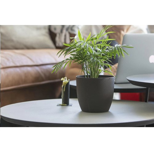 Coffee Flowerpot Bloempot