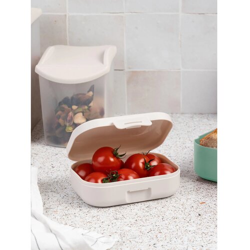 Snackbox Small 200 Ml