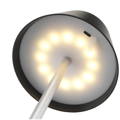 Wooosh Rcs Luzia Table Light Lamp