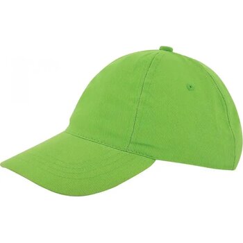 Lichtgroen